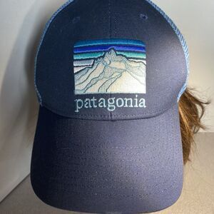 Patagonia Line Logo Ridge LoPro Trucker Cap Hat Snapback Adjustable netPlus Blue